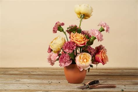 Carnation Bouquet And Floral Arrangement Ideas Hgtv