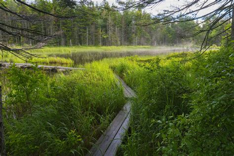 Best hikes in Vermont - Lonely Planet
