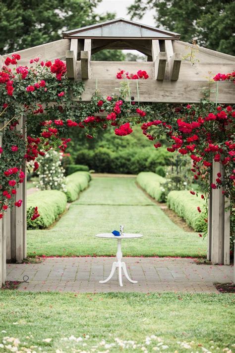 Pastel Rose Garden Wedding At The Norfolk Botanical Garden Botanical