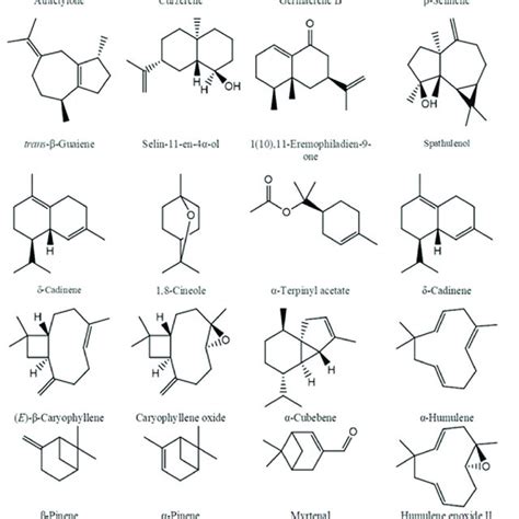 The Main Chemical Components Of Essential Oils Download Scientific Diagram