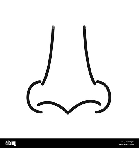 Human Nose Icon Linear Vector Graphics Sign Or Symbol Set For Web App