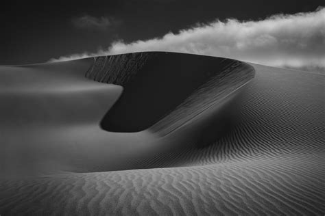 Dunes Visions Of Sand Light And Shadow — California Nature Art Museum