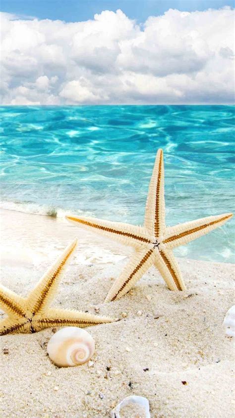 Two Starfishs Are Laying On The Sand Near The Ocean Water And Blue Sky