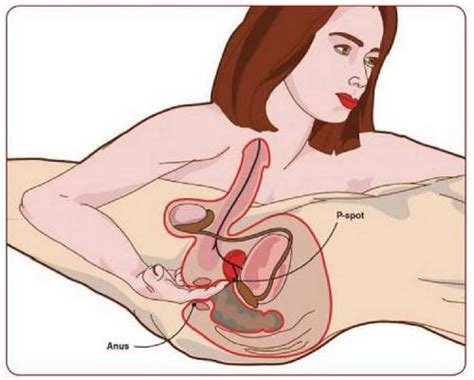 Prostate Imaging Hot Sex Picture