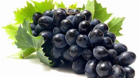 Gambar Buah Anggur Hitam - Gambar Buahku