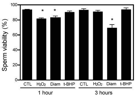 IJMS Free Full Text Changes Of The Protein CoAlation Pattern In