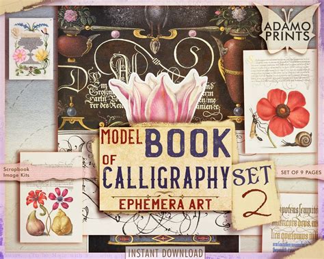 Model Book of Calligraphy Set2, Alphabet Digital, Rare Book Page ...