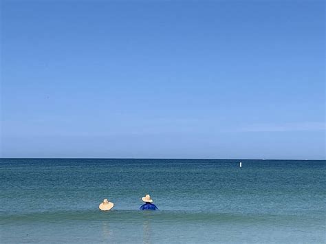 Beaches With The Clearest Water In Florida The Florida Guidebook