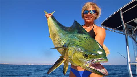 Florida Offshore Fishing Big Mahi YouTube