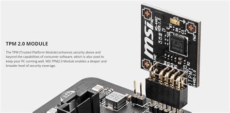 Msi Tpm Ms Module V Msy Au