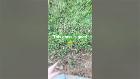 I Need To Touch Grass Youtube