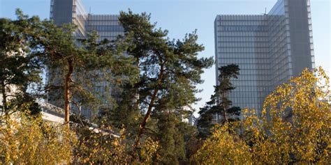 Le jardin du site François Mitterrand à lautomne Passerelles