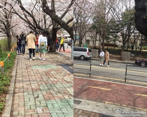 Tv Wgm China Choi Siwon And Liu Wen Film Their Cherry Blossom Date