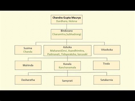 The Family Tree Of Chandragupta Maurya - vrogue.co