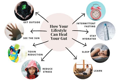 The Ultimate Guide To Gut Health Naturally Gut