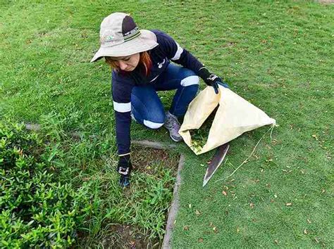 17 Mujeres Lideran La Conservación Del Parque Samanes En Guayaquil