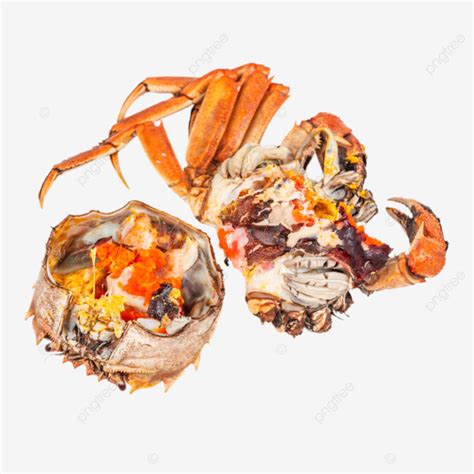 Delicious Seafood Hairy Crab And Crab Roe Delicious Seafood Hairy