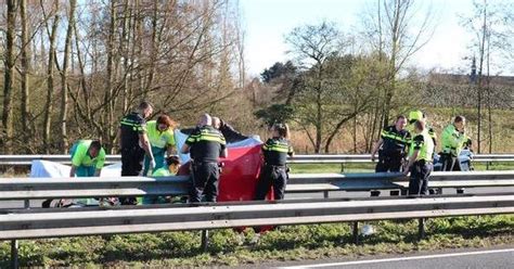 Jongen Overlijdt Na Aanrijding Op A Binnenland Telegraaf Nl