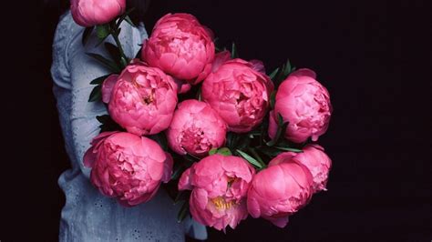 Desktop Peonies Wallpapers Wallpaper Cave