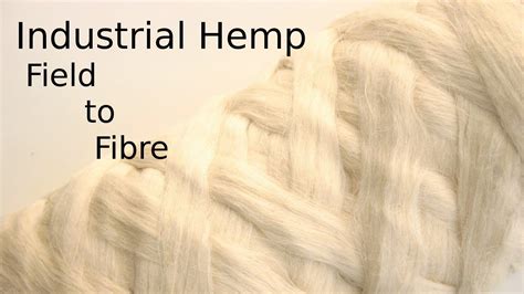 Processing Hemp From The Field To Textile Fibre Youtube