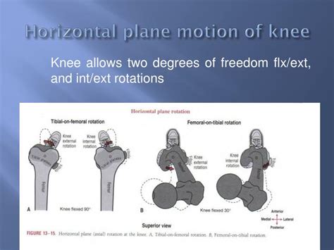 PPT Pathomechanics Of Knee Joint Part 1 PowerPoint Presentation