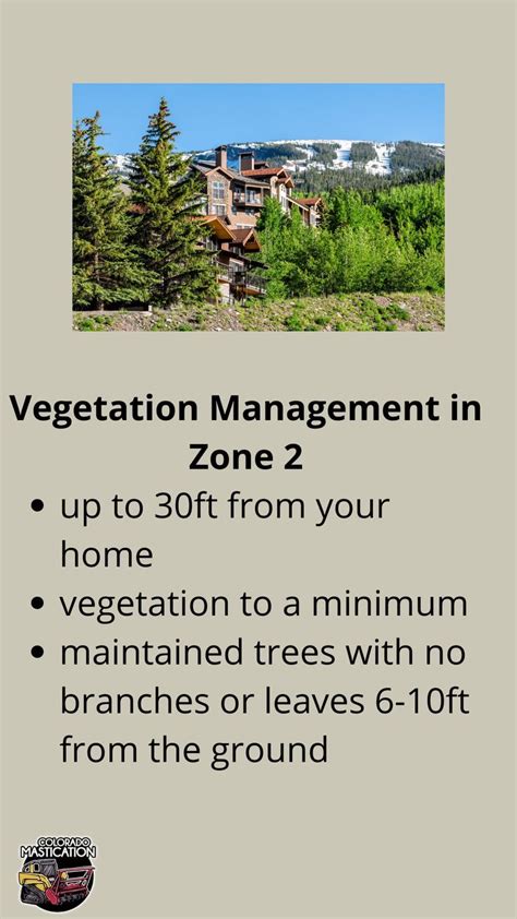 Zone 2 Vegetation Management Fire Mitigation Services