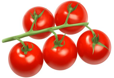 Tomato Png Images Transparent Free Download