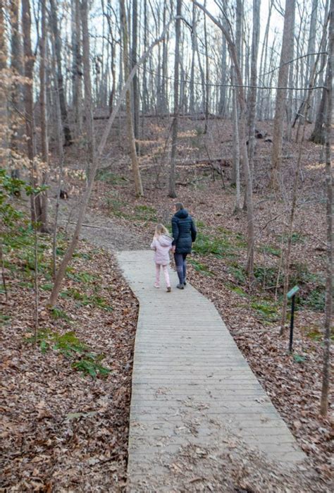 Dont Miss Hemlock Bluffs Nature Preserve In Cary Nc