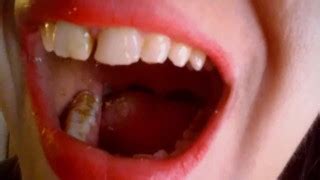 Free Insect Porn Videos Page 2 From Thumbzilla