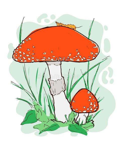 Amanita Muscaria In The Grass Vector Illustration Stock Vector Illustration Of Mycology