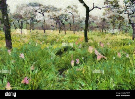 Forest landscape Illustrations creates an impressionist style of ...