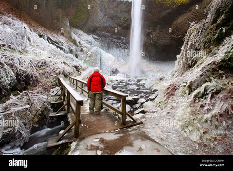 Winter Ice Storm By Latourell Falls Columbia River Gorge Oregon Usa