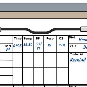 Simple CNA PCA Report Sheet 8 Patients Shift Report Vitals Etsy Australia