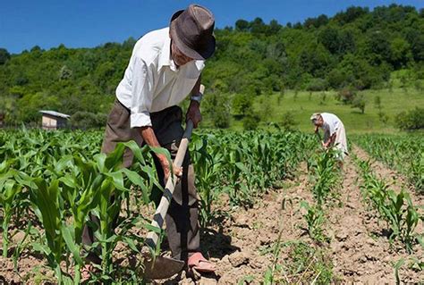 Qu Es La Reconversi N De Cultivos Noticias Del Agro