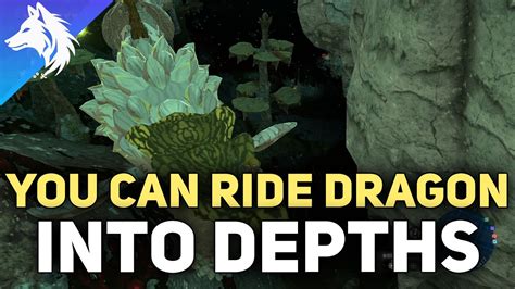 You Can Ride Dragons Into The Depths The Legend Of Zelda Tears Of The