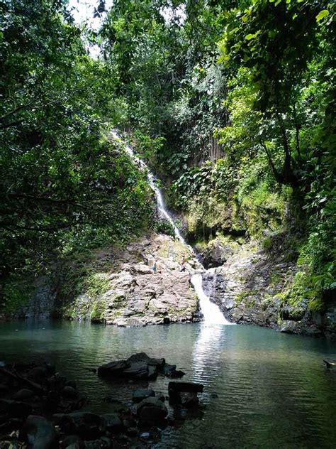 Le saut de Bras de Fort à Goyave Découvrez la Guadeloupe