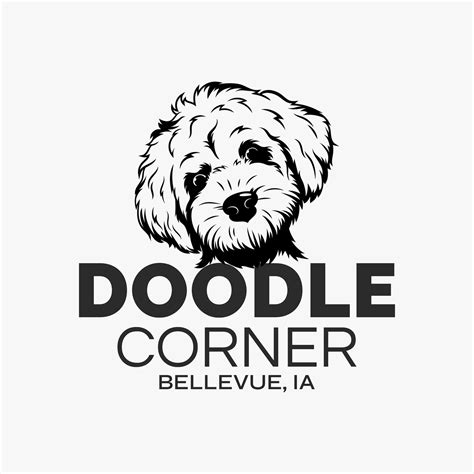 Cavapoos For Sale Near Me