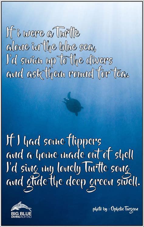 Turtle Poem