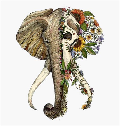 Elephant Half Skull Tattoo, HD Png Download - kindpng