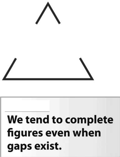 Chapter 3 Sensation And Perception Flashcards Quizlet