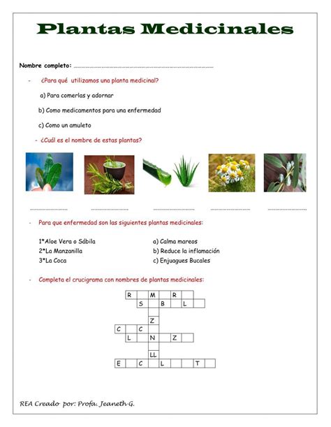 Plantas Medicinales Interactive Worksheet Plantas Medicinales Primer