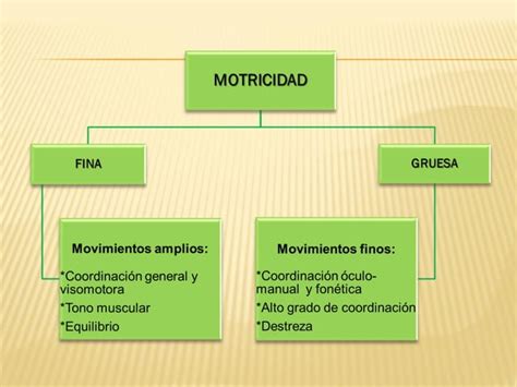 Coordinación motricidad fina y gruesa PPT