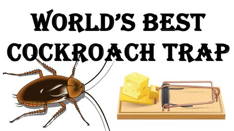 How To Make The Worlds Best Cockroach Trap Youtube