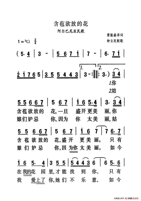 含苞欲放的花 （大字老人适用）还不错个人制谱园地中国曲谱网