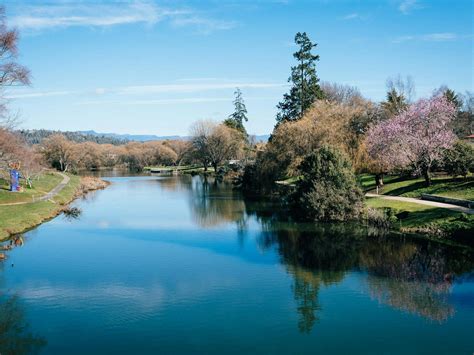 Deloraine River Walk Nature And Wildlife Discover Tasmania