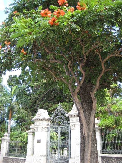 Der Botanische Garten In Puerto De La Cruz Wurzerls Garten