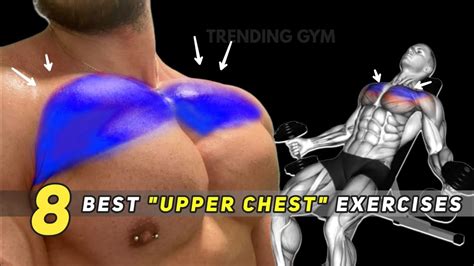 8 Effective Exercises For Upper Chest Pecs Chest Workout Youtube