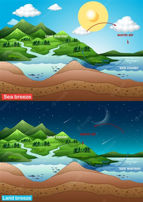 Diagrama Que Muestra La Brisa Marina Y Terrestre Vector Gratis