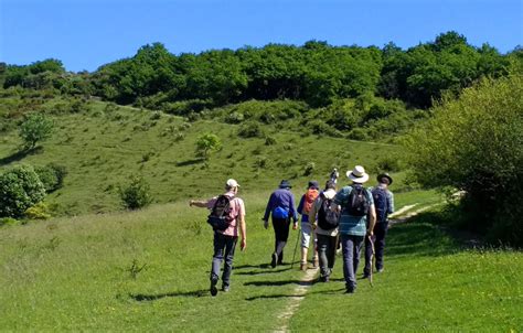 Chilterns Walking Festival – Tourism Angles