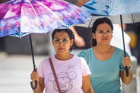 A Protegerse Temperatura Diurna En La Selva Centro Superar A Los